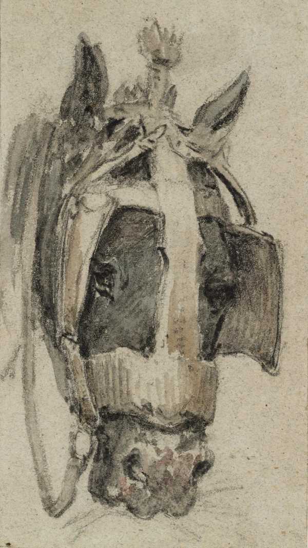 Horse’s Head