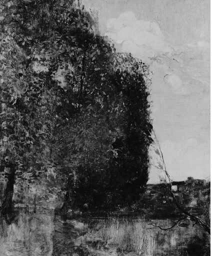 Trees in a Meadow