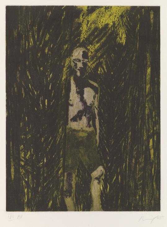 Untitled', Peter Doig, 2005 | Tate