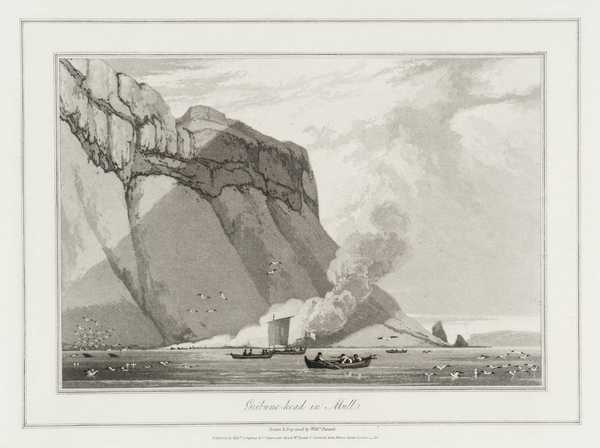 Gribune-head in Mull