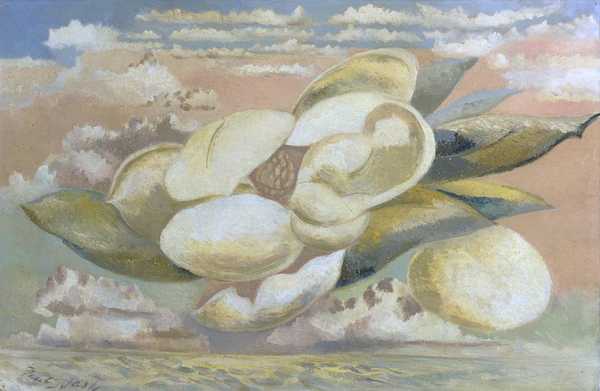 Flight of the Magnolia