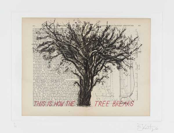 This is How the Tree Breaks