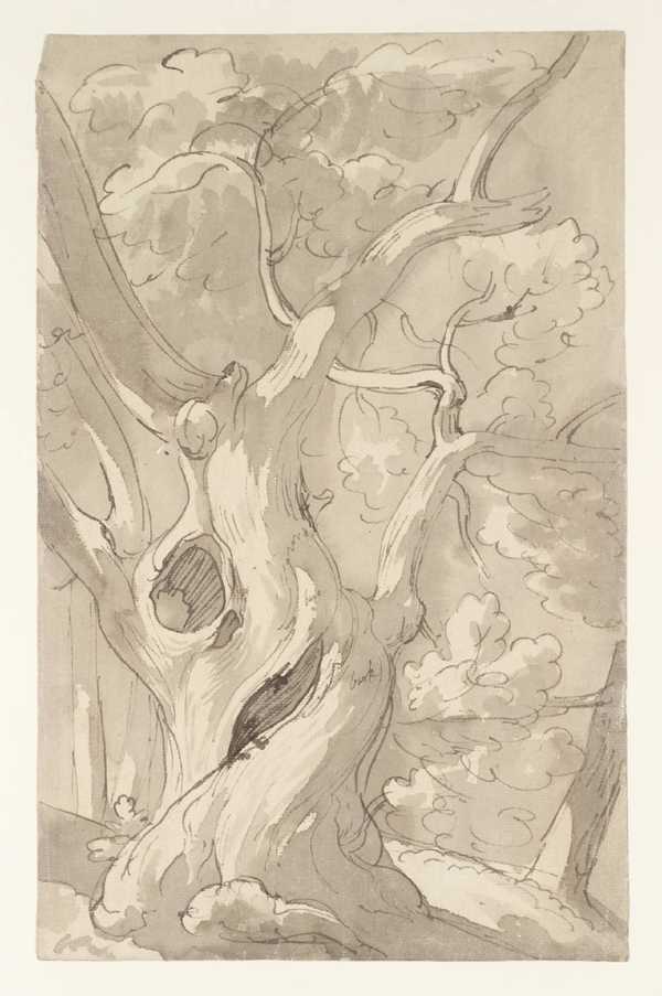 Chestnut Trees, Morning. Frascati
