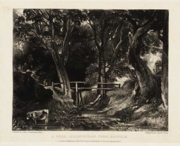 A Dell, Helmingham Park, Suffolk
