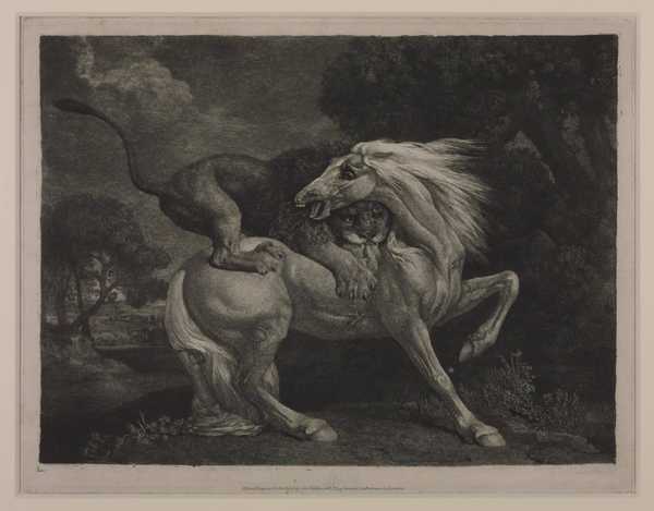 ‘A Horse Attacked by a Lion (A Lion Devouring a Horse)‘, George Stubbs ...