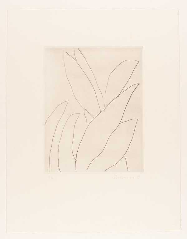 Leaves - Drypoint IV