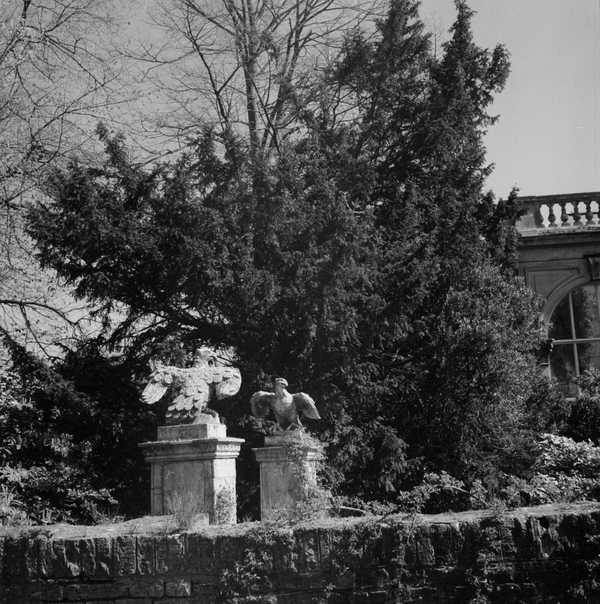 Photograph Of Garden Sculptures At Castle Ashby House In 