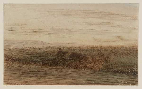 A Cottage in a Marsh