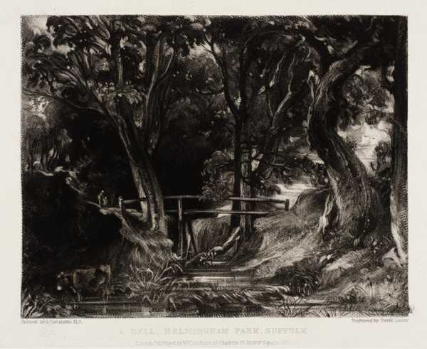 A Dell, Helmingham Park, Suffolk
