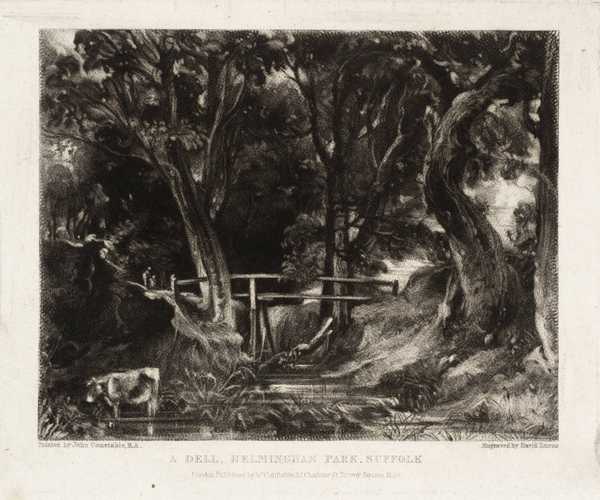 A Dell, Helmingham Park, Suffolk