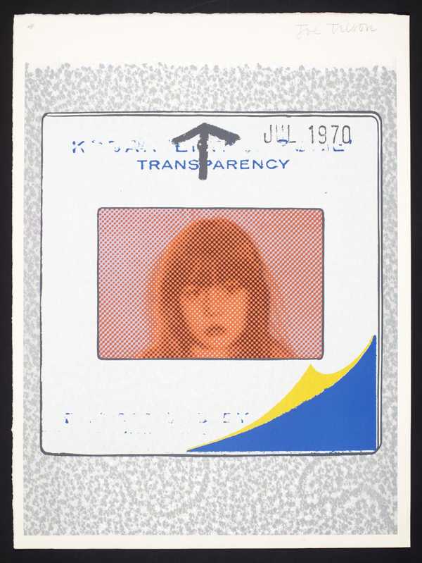 Transparency, Snapshot