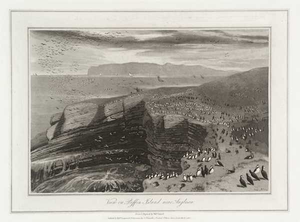 View on Puffin Island, near Anglesea