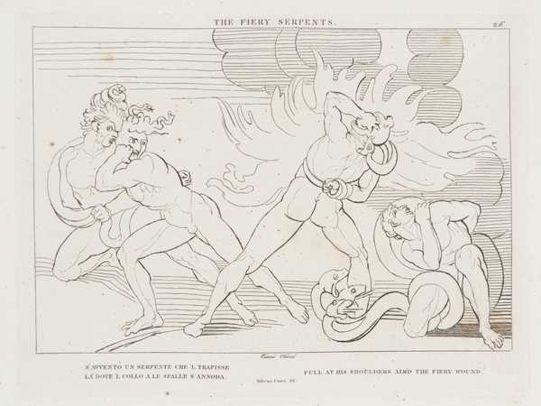 The Fiery Serpents
