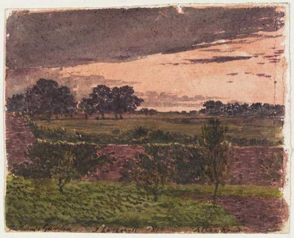 Tatham’s Garden, Alpha Road, at Evening