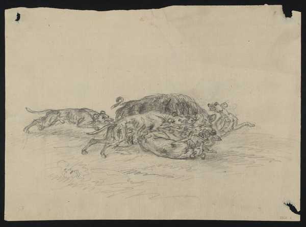 A Wild Boar Attacked by Hounds