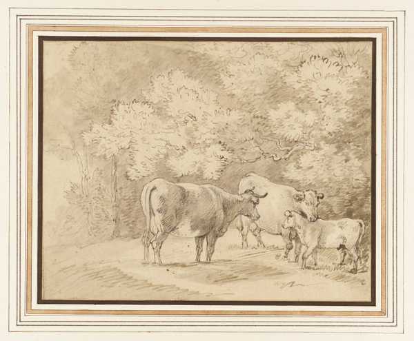 Cows in a Wood