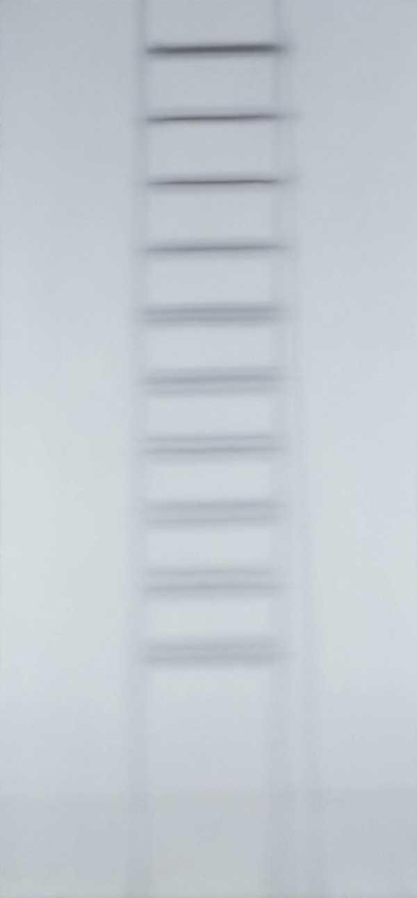 Ladder