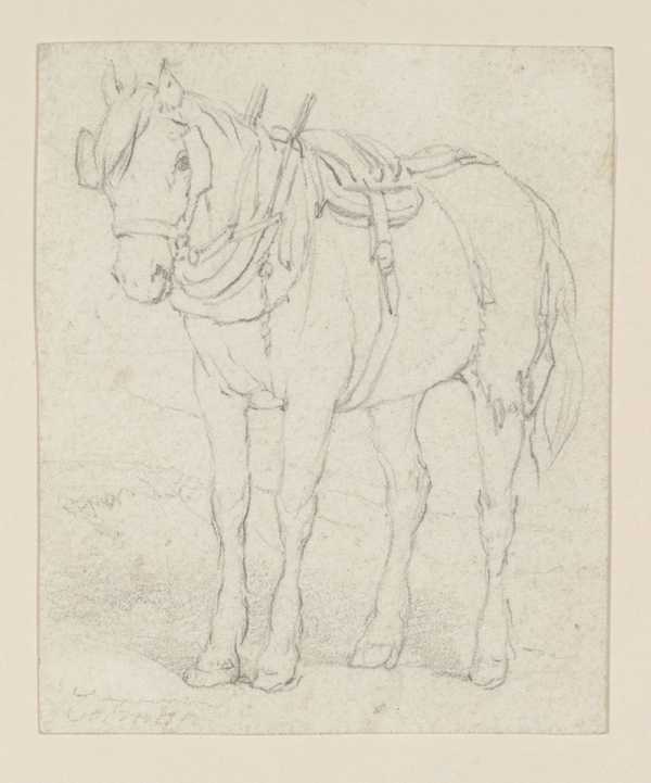 A Farm Horse. Verso: Drawing