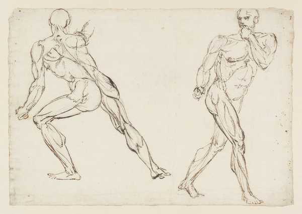 Two Ecorchés