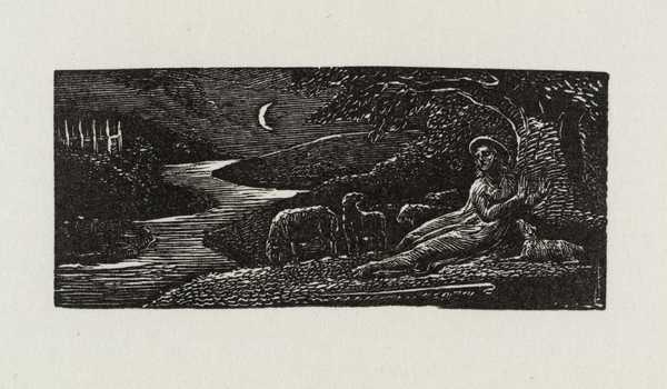 Colinet Rests by a Stream at Night
