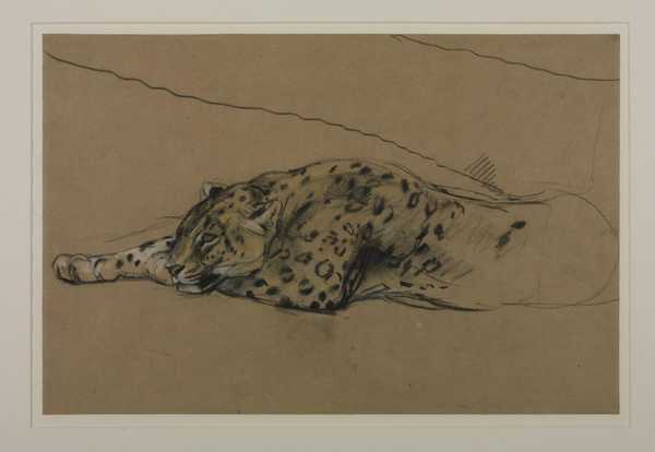 ‘Leopard Lying Down‘, John Macallan Swan | Tate