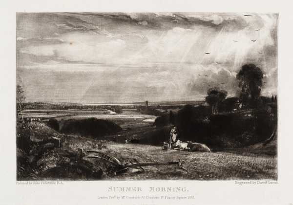 Summer Morning