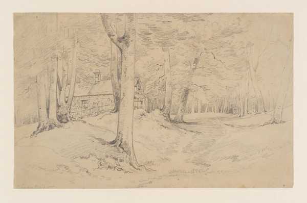 A House among Trees
