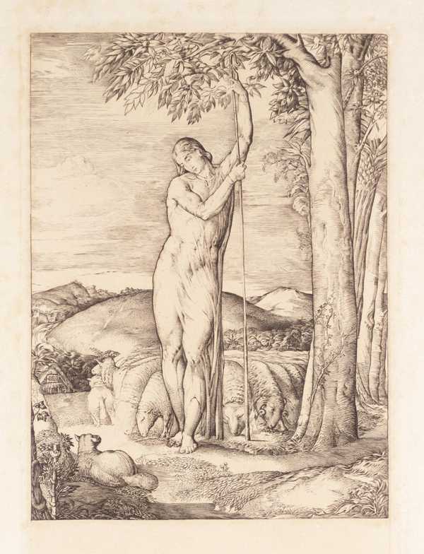 The Shepherd