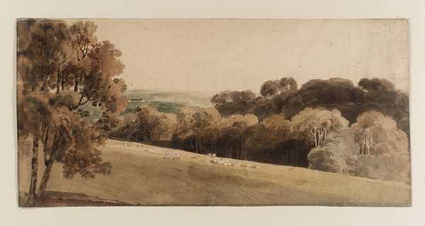 Park Scene, Sheep in Middle Distance, Trees and Hills Beyond