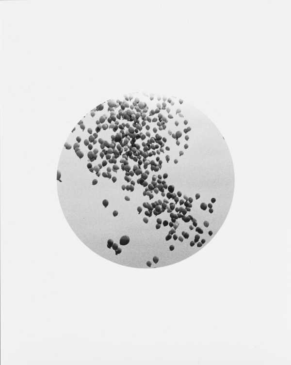 Untitled (Balloons escaping)
