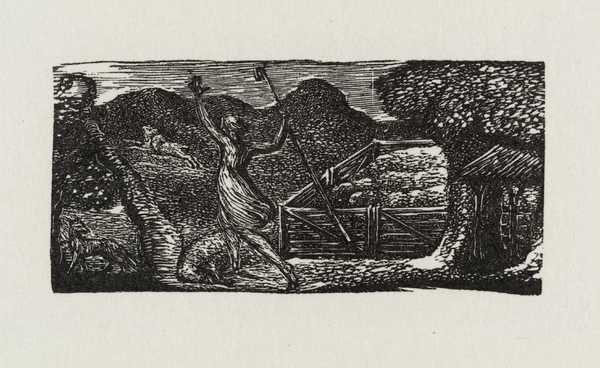 ‘Nor Fox, nor Wolf, nor Rat among our Sheep’