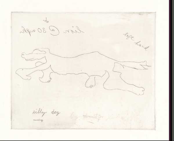Lion at 30 mph