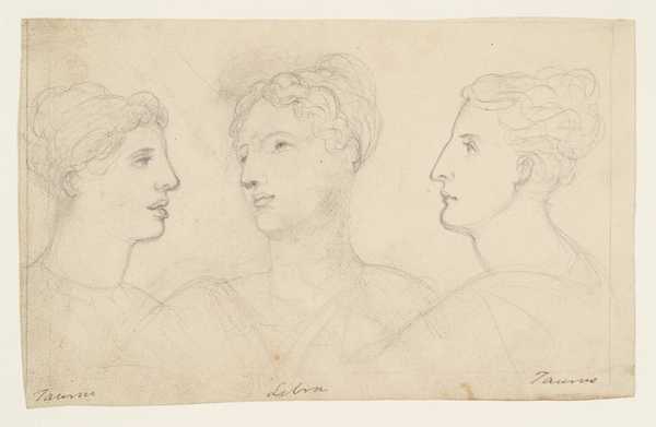 Sketch for ‘Treatise on Zodiacal Physiognomy’