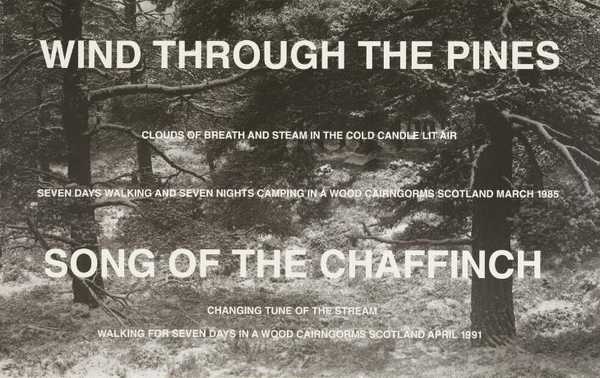 Wind through the Pines', Hamish Fulton, 1985, 1991 | Tate