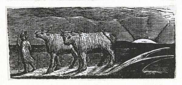 ‘And Unyok’d Heifers, Loitering Homeward, Low’