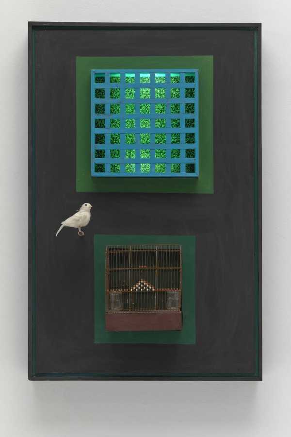 Cage, cage, cage