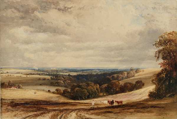A View in Sussex