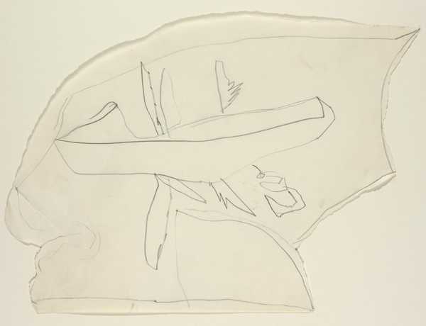 Angel Whale