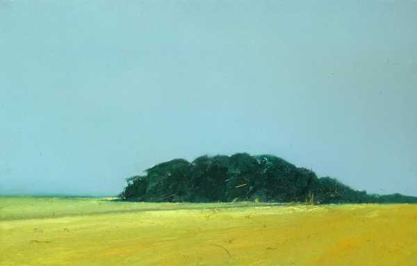 Large Harvest Field and Woods near Happisburgh, Norfolk
