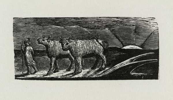 ‘And Unyok’d Heifers, Loitering Homewards, Low’