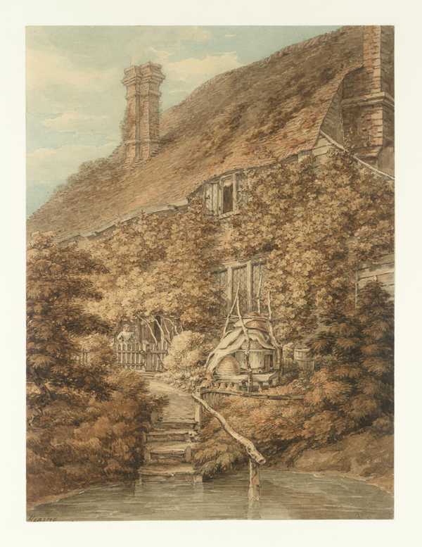 A Vine-clad Cottage