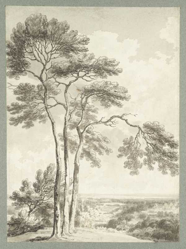 Three Trees on a Hill