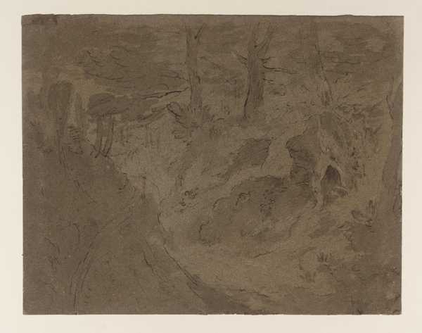 Scene in a Wood