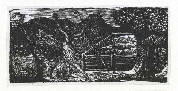 ‘Nor Fox, nor Wolf, nor Rat among our Sheep’