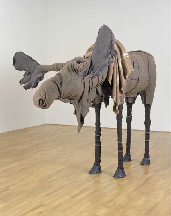 Moose