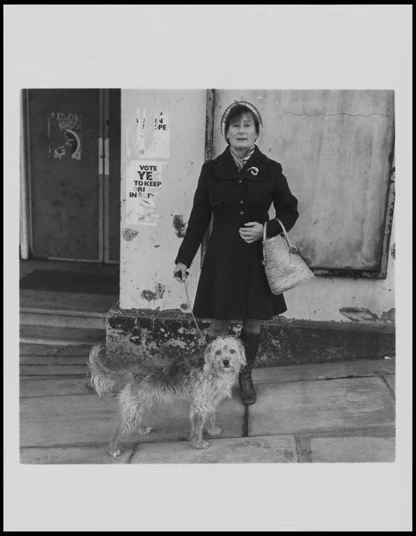 Walking the Dog