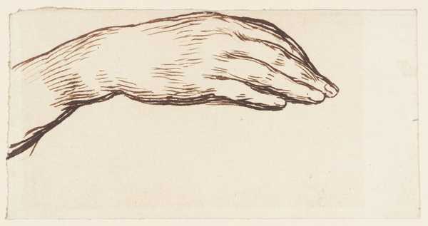 Study of Hand