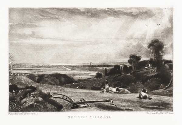 Summer Morning