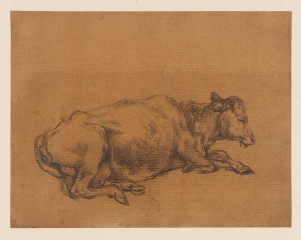 Study of a Cow