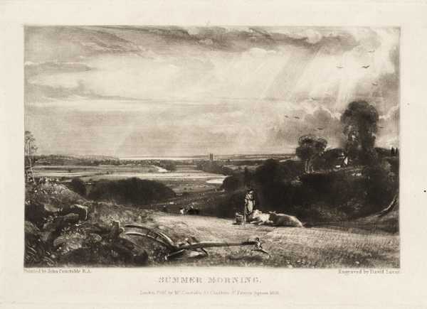 Summer Morning